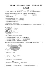 安徽省宣城市第二中学2024-2025学年高一上学期10月月考化学试题（含答案）