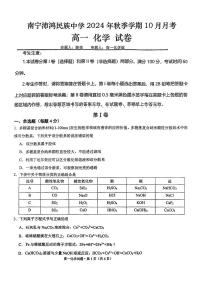 南宁沛鸿民族中学2024年秋季学期10月月考高一化学试卷(1)