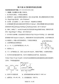 山东省淄博第十一中学2024-2025学年高二上学期10月阶段性考试化学试卷（PDF版，含答案）