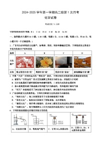 广东省两阳中学2024-2025学年高二上学期第一次月考化学试题（含答案）