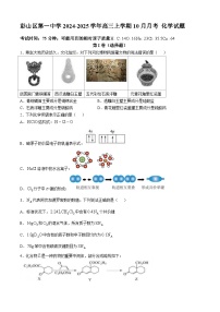 四川省眉山市彭山区第一中学2024-2025学年高三上学期10月月考 化学试题