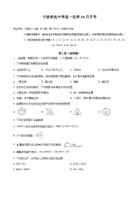 浙江省宁波市效实中学2024-2025学年高一上学期10月月考  化学试题（含答案）