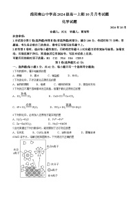 四川省绵阳南山中学2024-2025学年高一上学期10月月考 化学试题