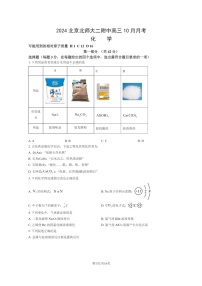 [化学]2024北京北师大二附中高三上学期10月月考试卷及答案