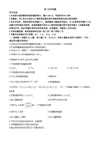 山东省菏泽市鄄城县第一中学2024-2025学年高二上学期10月月考 化学试题