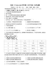 福建省龙岩第一中学2024-2025学年高一上学期第一次月考 化学试卷(无答案)