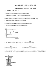 广西钦州市2024-2025学年高二上学期10月月考 化学试卷（含答案）