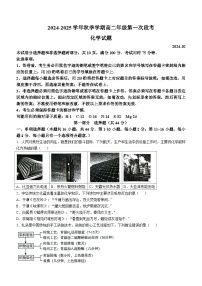 广东实验中学深圳学校2024-2025学年高二上学期10月月考 化学试题（含答案）