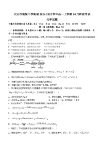 黑龙江省大庆市实验中学实验2024-2025学年高一上学期10月阶段考试化学试卷（含答案）