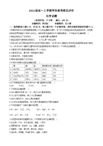 安徽省合肥市第十中学2024-2025学年高一上学期第一次月考化学试卷(无答案)