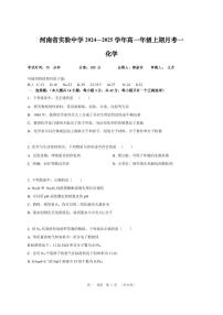 2024-2025学年河南省实验中学高一上学期10月第一次月考化学试卷及答案