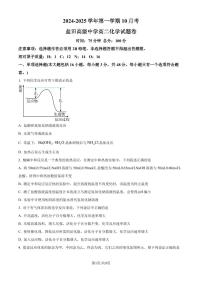 广东深圳盐田高级中学2024年高二上学期10月月考 化学试题（含答案）