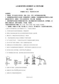 山东新高考联合质量测评2024-2025学年高三上学期10月联考 化学试题（含答案）