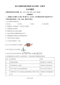 浙江省新阵地教育联盟2025届高三上学期第一次联考化学试题（含答案）