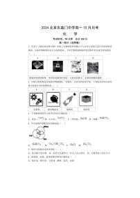 [化学]北京市东直门中学2024～2025学年高一上学期10月月考试题(有答案)