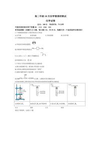 [化学]江苏省泰州市兴化中学2024～2025学年高二上学期10月月考试题(有答案)