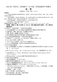 广西“贵百河—武鸣高中”2024-2025学年高二上学期10月新高考月考化学试题