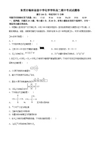 广东省东莞市韩林高级中学2023-2024学年高二上学期期中考试化学试题