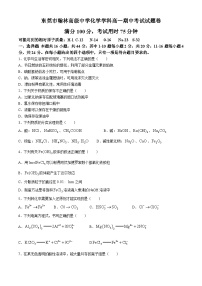 广东省东莞市韩林高级中学2023-2024学年高一上学期期中考试化学试题