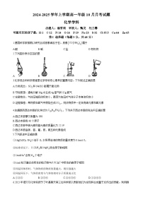 河南省郑州市第十九高级中学2024-2025学年高一上学期10月月考 化学试卷(无答案)