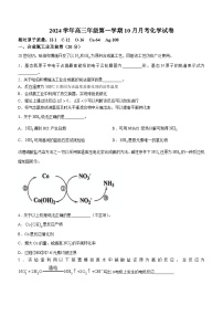 上海市七宝中学2024-2025学年高三上学期10月月考 化学试题(无答案)