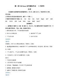 浙江省第一届NBchem2024-2025学年高三上学期高考模拟考试化学试题（Word版附解析）