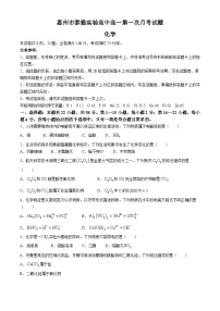 广东省惠州市泰雅实验高中2024-2025学年高一上学期第一次月考 化学试题 (无答案)