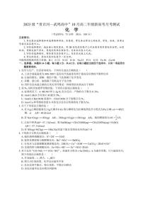 [化学]广西“贵百河—武鸣高中”2024～2025学年高二上学期10月新高考月考试题(有答案)