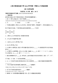 上海市青浦高级中学2024-2025学年高三上学期10月质量检测 化学试卷