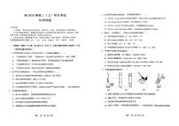 重庆市鲁能巴蜀中学校2024-2025学年高二上学期10月月考化学试题