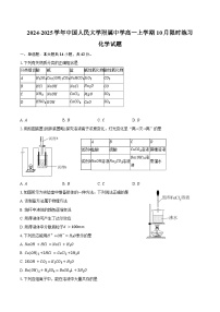 2024-2025学年北京市海淀区中国人民大学附属中学高一上学期10月限时练习化学试题（含答案）