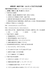 河南省驻马店市新蔡县第一高级中学2024-2025学年高一上学期10月月考 化学试题