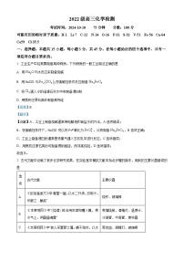 湖北省武汉市华中师范大学第一附属中学2024-2025学年高三上学期10月月考化学试题（Word版附解析）