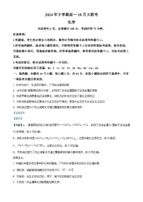 湖南省名校教育联合体2024-2025学年高一上学期10月月考化学试题（Word版附解析）