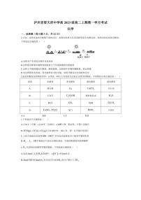 [化学]四川省泸州老窖天府中学2024～2025学年高2023级高二上期第一学月考试试题(有答案)