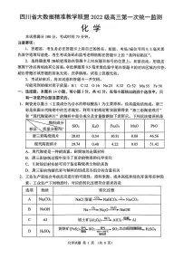 四川省大数据精准教学联盟2022级高三第一次统一监测试卷化学（含答案）