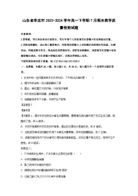 [化学][期末]山东省枣庄市2023-2024学年高一下学期7月期末教学质量检测试题(解析版)