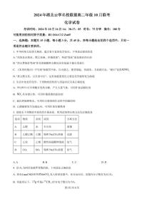 湖北云学名校联盟2024年高二上学期10月联考化学试卷+答案