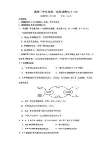 湖北省武汉市武钢三中2024-2025学年高一上学期10月月考化学试卷