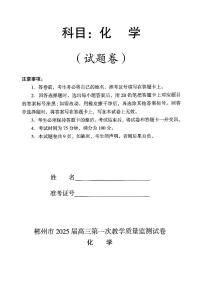 湖南省郴州市2024-2025学年高三上学期第一次教学质量监测（一模）化学试题