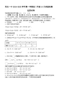 甘肃省张掖市民乐县第一中学2024-2025学年高二上学期10月质量检测 化学试卷