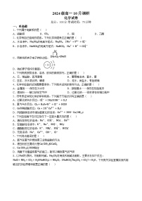 江苏省泰州市兴化市2024-2025学年高一上学期10月月考 化学试题(无答案)