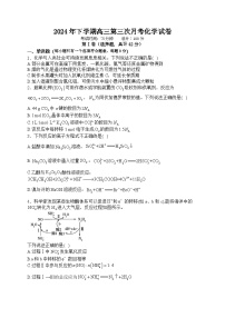 湖南省邵东市第一中学2024-2025学年高三上学期第三次月考 化学试题