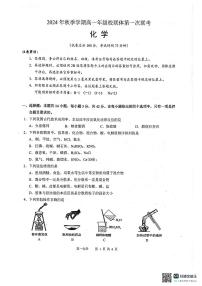 广西壮族自治区河池市十校2024-2025学年高一上学期10月联考化学试题