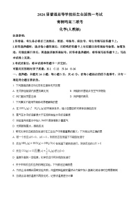 河南省青桐鸣大联考2024-2025学年高二上学期10月月考化学试卷（Word版附答案）