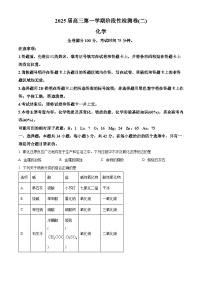 陕西省新高考联盟2024-2025学年高三上学期阶段性检测（二）化学试题Word版附答案