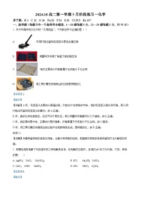 北京理工大学附属中学2024-2025学年高二上学期10月月考化学试卷（Word版附解析）