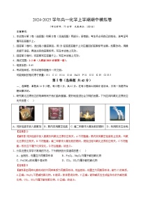 2024-2025学年高一上学期期中模拟考试化学（新八省通用，人教版2019必修第一册第1_2章）试卷（Word版附解析）