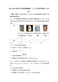 2023-2024学年辽宁省名校联盟高二（上）月考化学试卷（10月份）