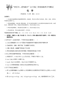 广西壮族自治区贵百河—武鸣高中2024-2025学年高二上学期10月月考试题 化学含答案